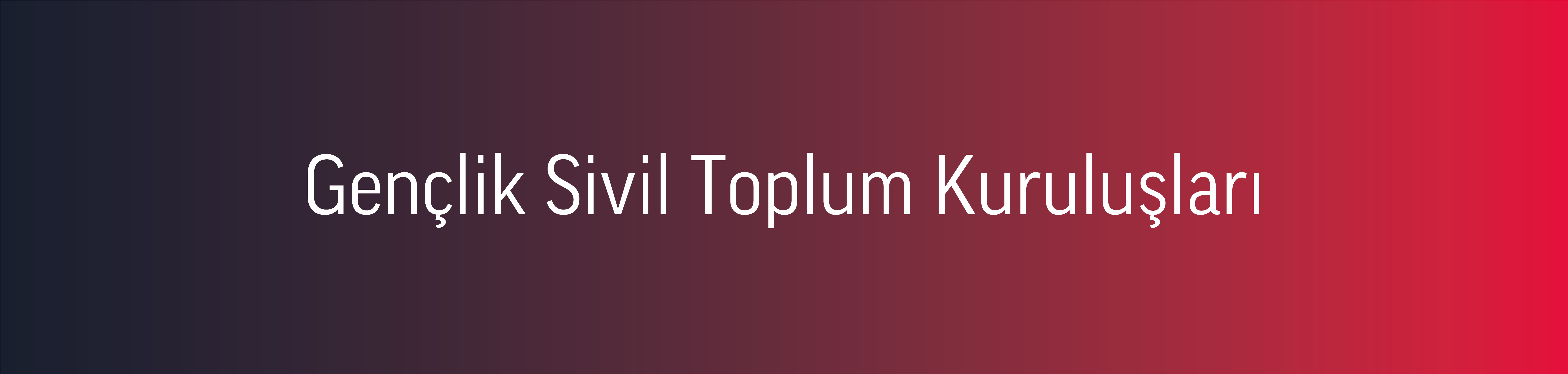 Gençlik Sivil Toplum Kuruluşları