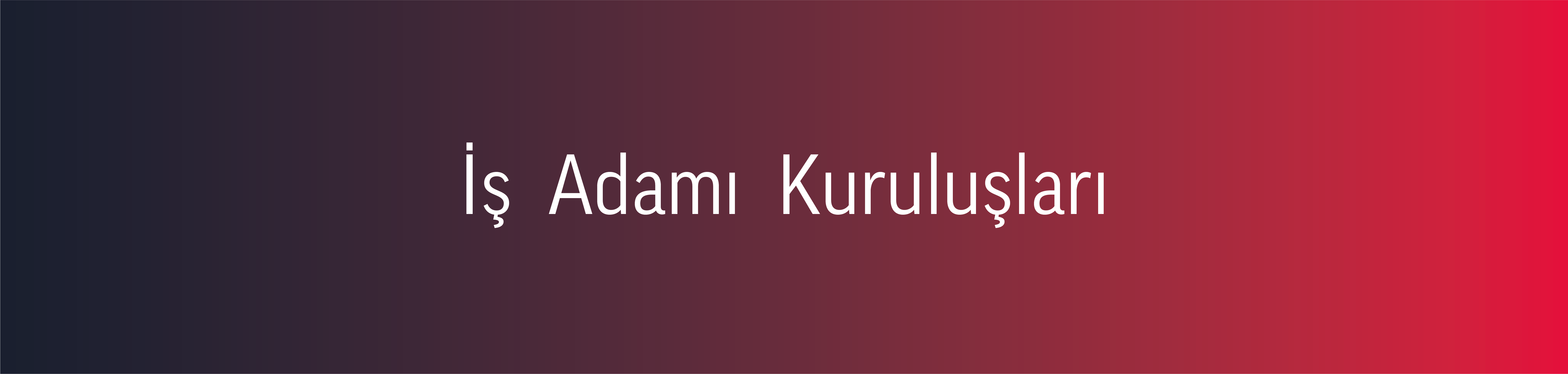 İş Adamı Kuruluşları