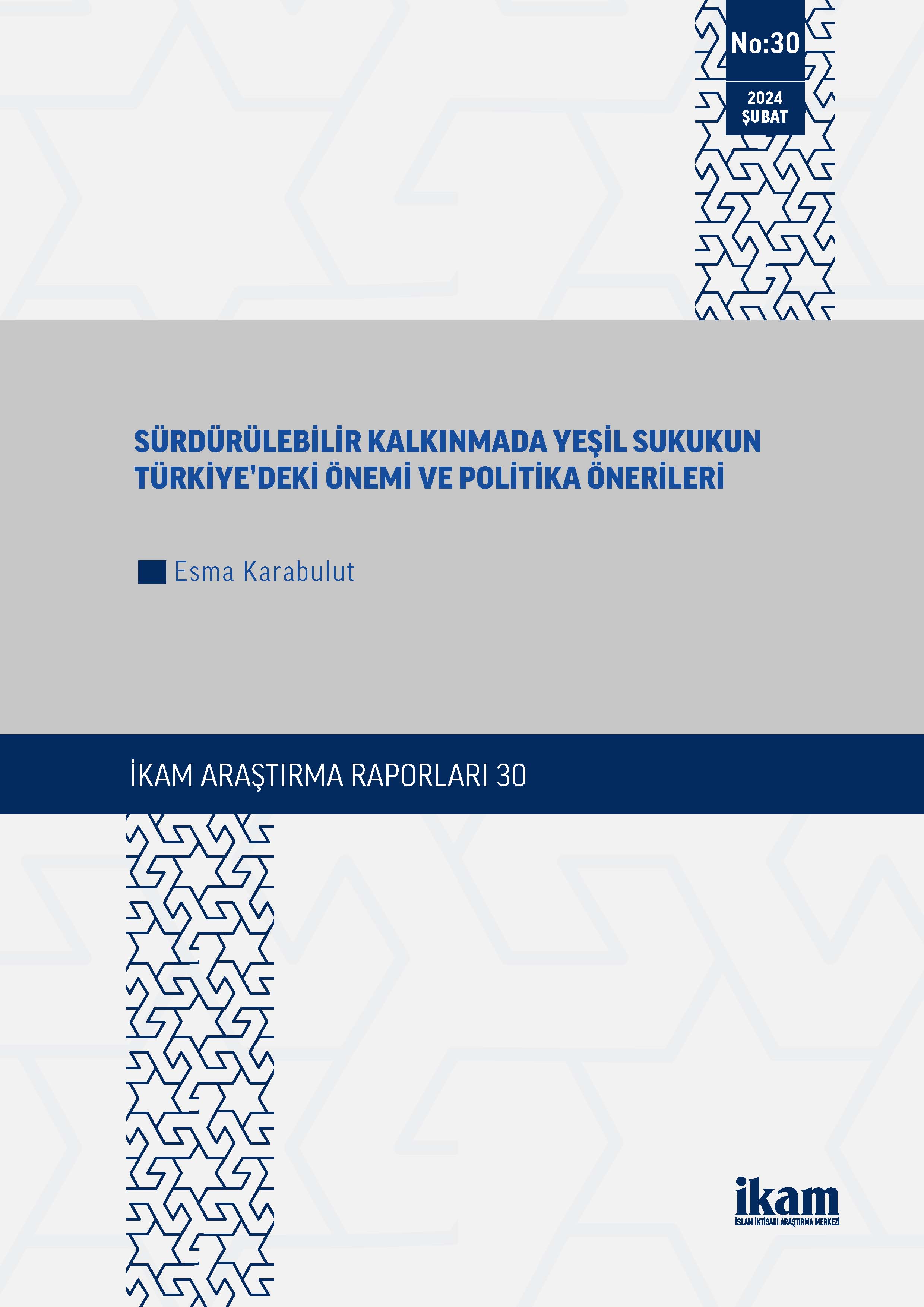 Sürdürülebilir Kalkınmada Yeşil Sukukun Türkiye’deki Önemi ve Politika Önerileri
